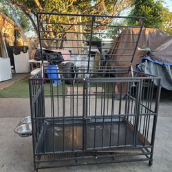Dog Cage 