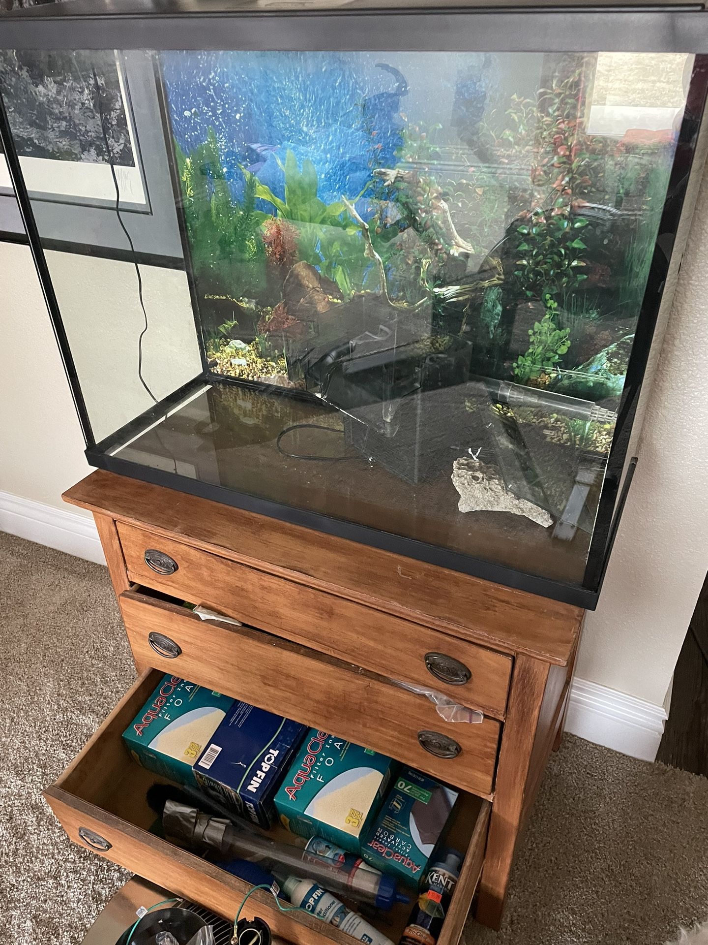 Aquarium