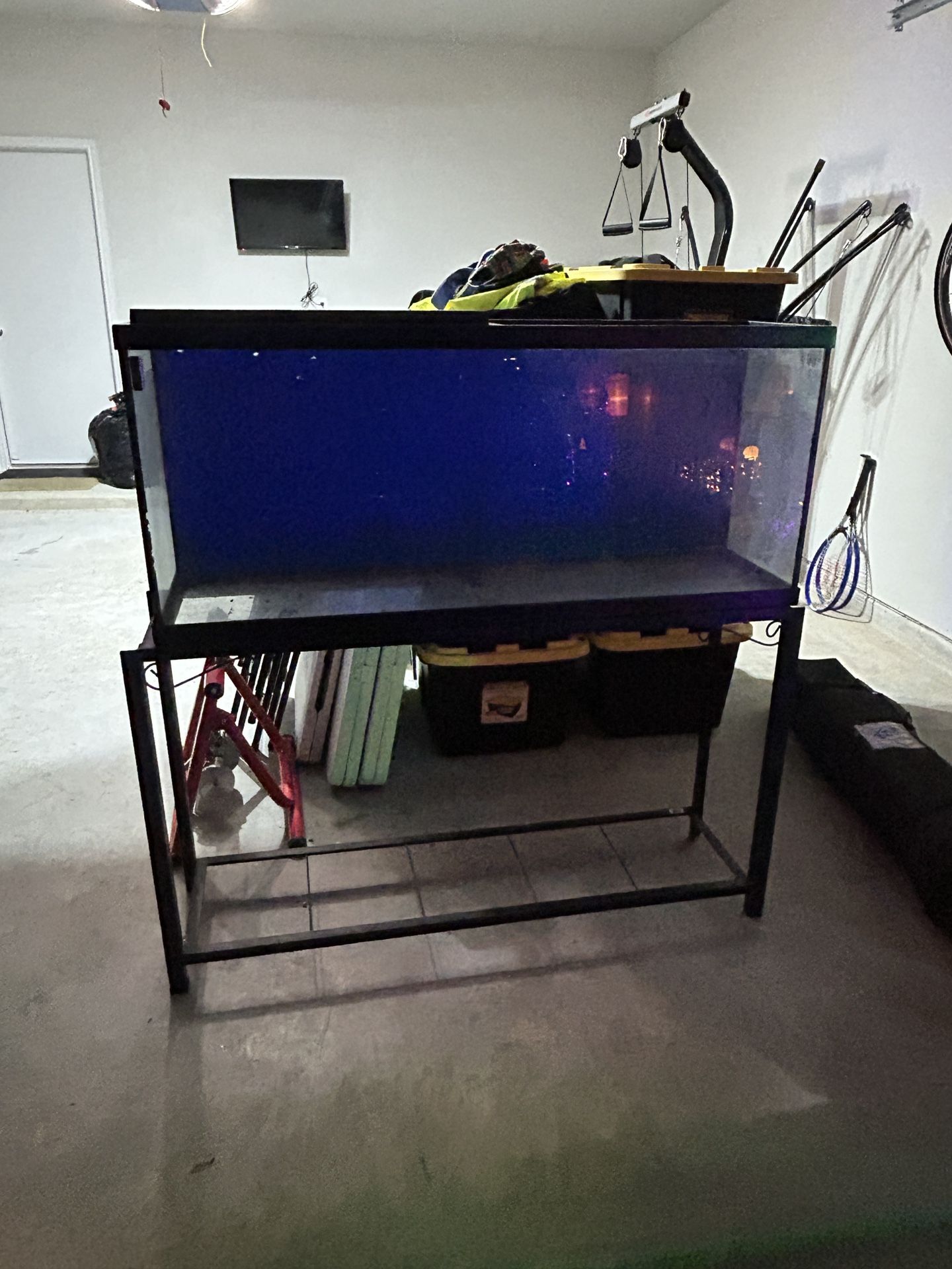 Fish Tank & Stand 