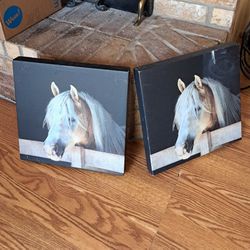 Hobby Lobby Horse Canvas Portraits (Set Of 2) 14x14