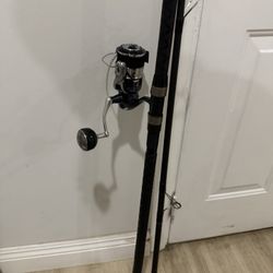 Daiwa Coastal SP Surf Rod 11 Ft x Shimano Twinpower Sw 6000