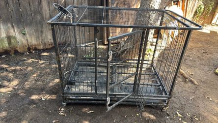 Xl kennel