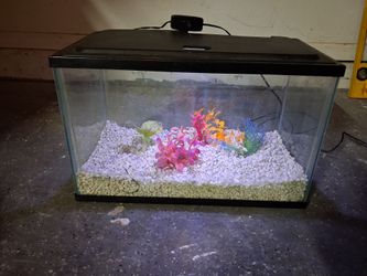6 gallon Aquarium with light, gravel and plants