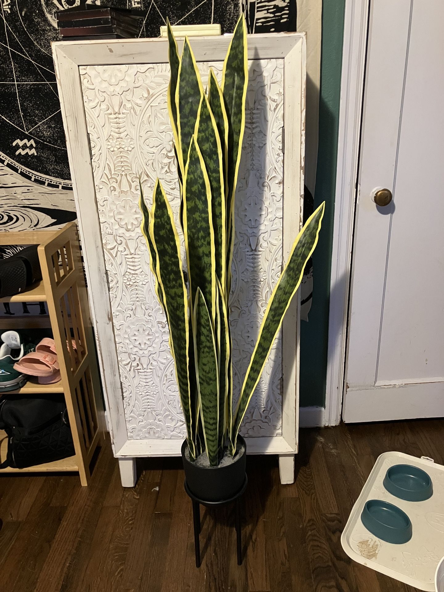 3 Foot Snake Plant & Stand