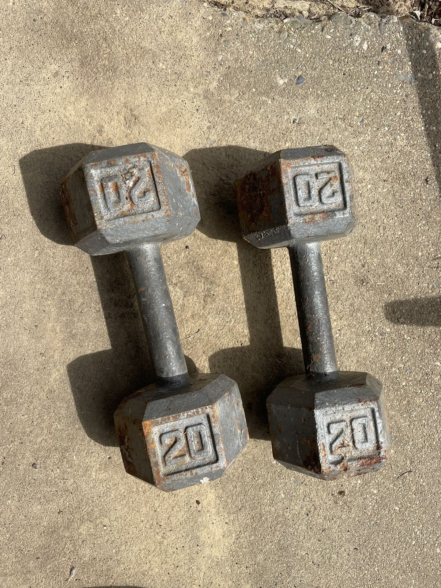 20 Pound Dumbbell Set 