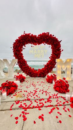 Merry me proposal !!