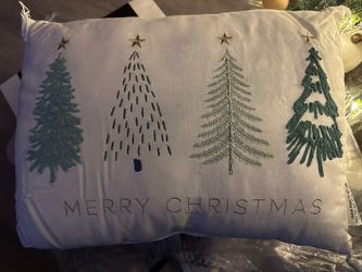 2 Christmas Pillows