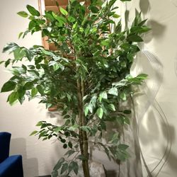 6 ft Tall Faux Plant