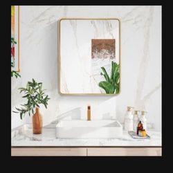 New Gold Classic 24 in. W x 30 in. H Rectangular Aluminium Recessed or Surface Mount Medicine Cabinet with Mirror