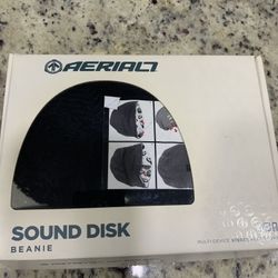 Beanie With Earphones New