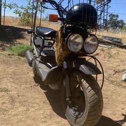 2004 Honda Ruckus