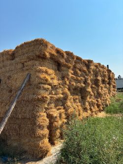 ‼️Hay Bales For Sale‼️