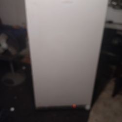 Uprights Freezer 