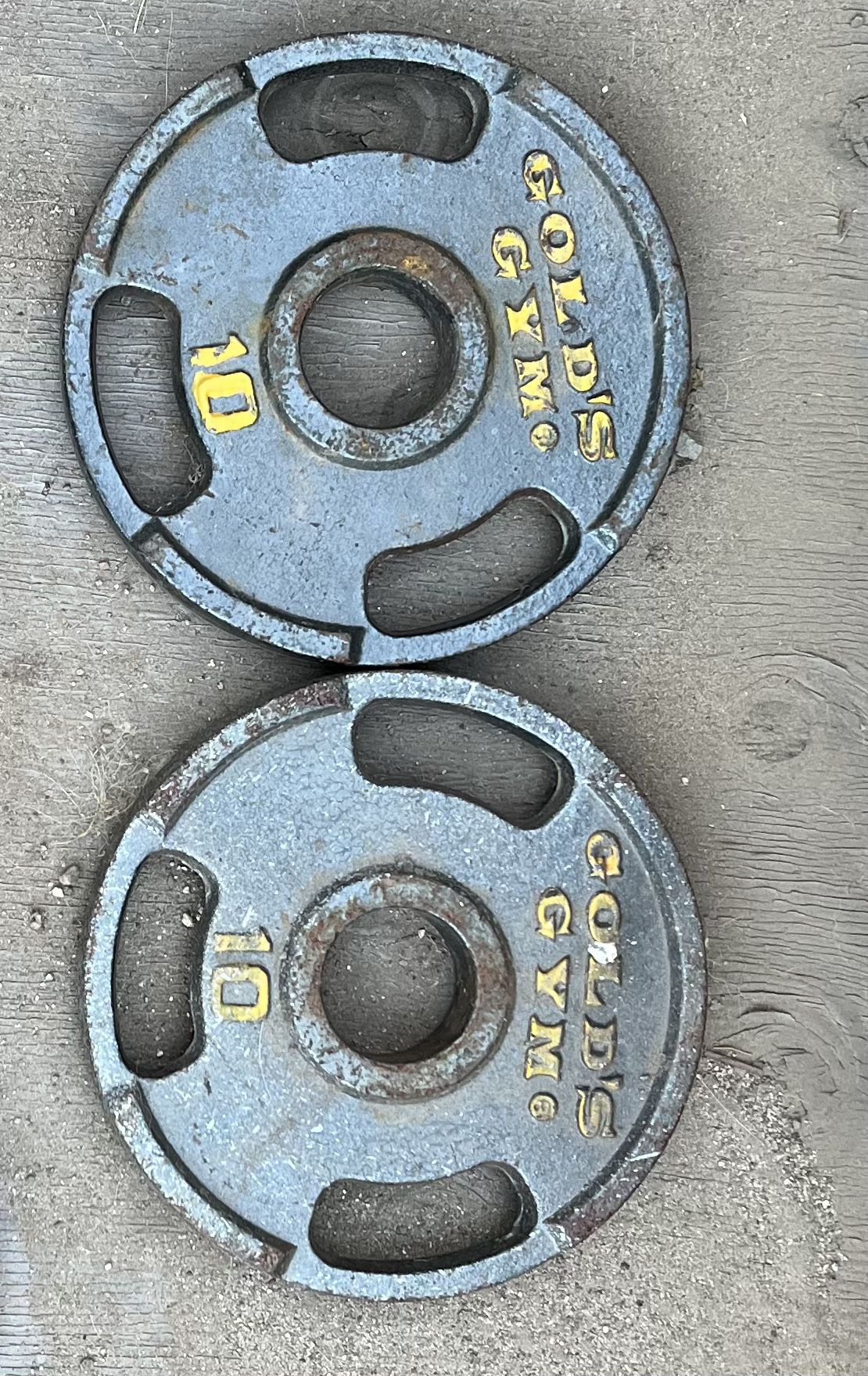 10lbs Weight Lifting Plate