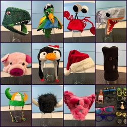 Fun Novelty Costume Hats