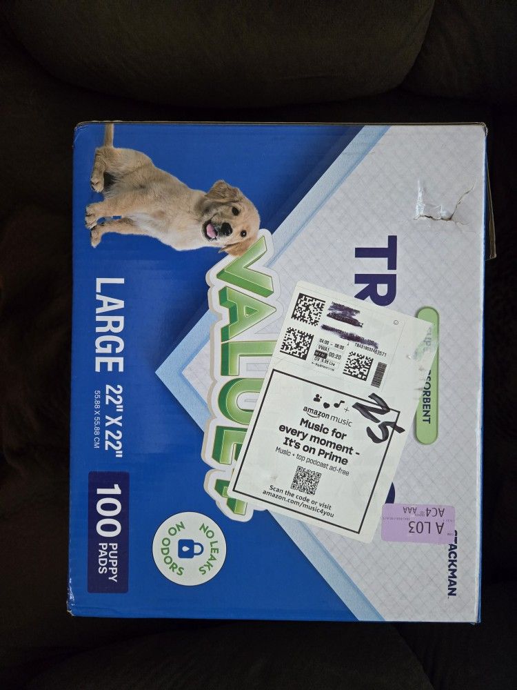 Nearly Full Box Of POTTY PADS