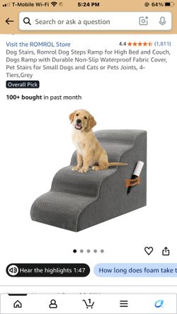 Dog Stairs