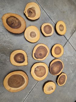 Wood Platters / Decor