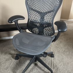 Herman Miller Ergonomic Office Chair