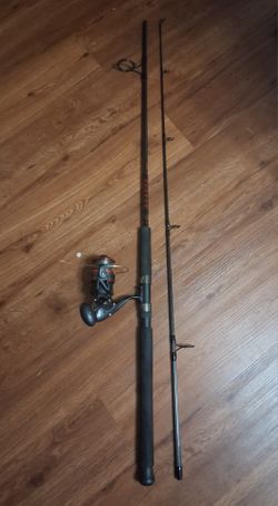 Penn Fierce Salt Water Combo In Great 