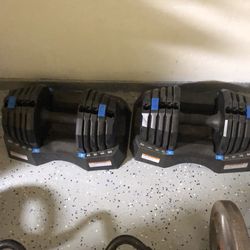 Dumbbells adjustable