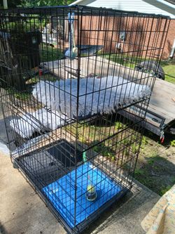 3 Teir Cat cage