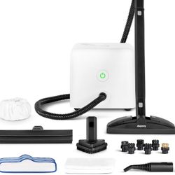 MOVING SALE: Dupray Neat Steam Cleaner (17-Piece Kit) - MUST GO SUN 12/14