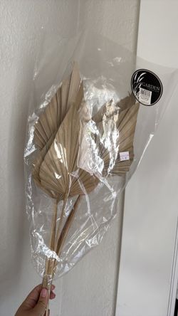 Dry palms