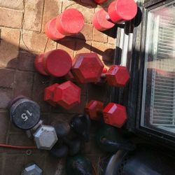 Dumbbells & Curlbar Ect.