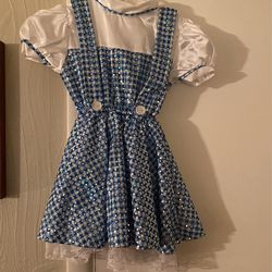 Wizard Of Oz Dorothy Costume