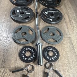 Olympic Equipment: Silver Curl Bar  & Weight Plates Pairs Of  35s, 25s, 10s And 2.5s  Pounds   (Total: 163 lbs)
