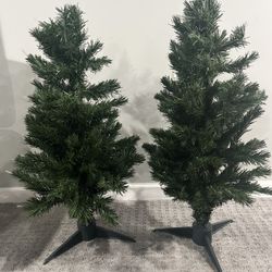 2 Christmas Trees