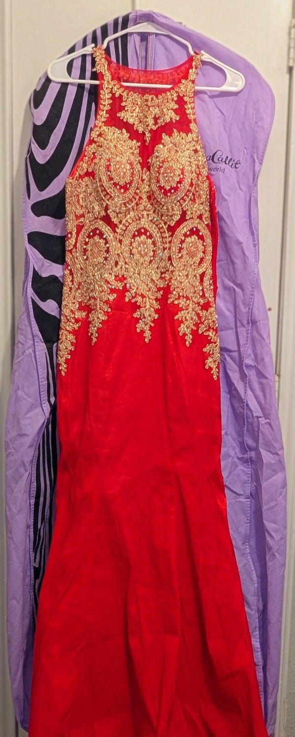 Homecoming / Prom Dress