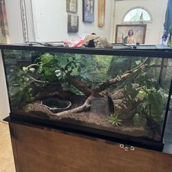 40 gallon reptile glass terrarium tank with heat mat/thermostat and custom cut wood
