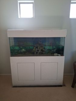 Aquarium