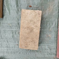 Small Bricks 🧱 $1 Each