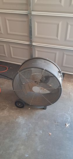 Big fan