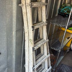 Werner 26 Ft. Aluminum Multi-Position Telescoping Ladder with 300 Lb. Load Capacity Type IA Ladder Rating