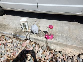 Bird feeding