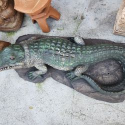 Crocodiles For Sale