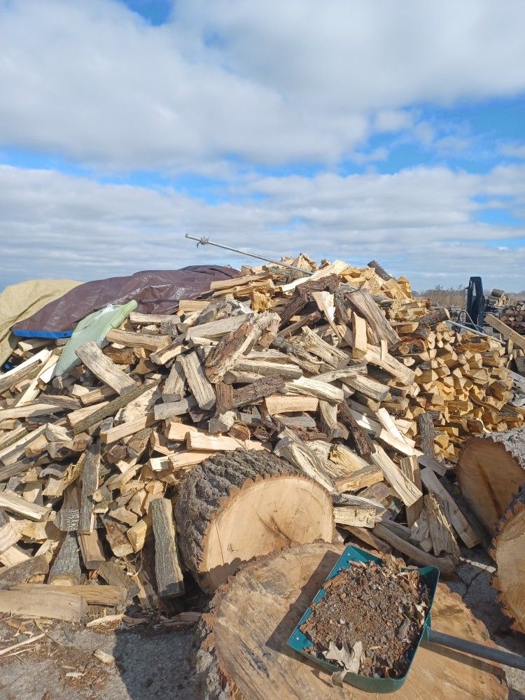 Firewood