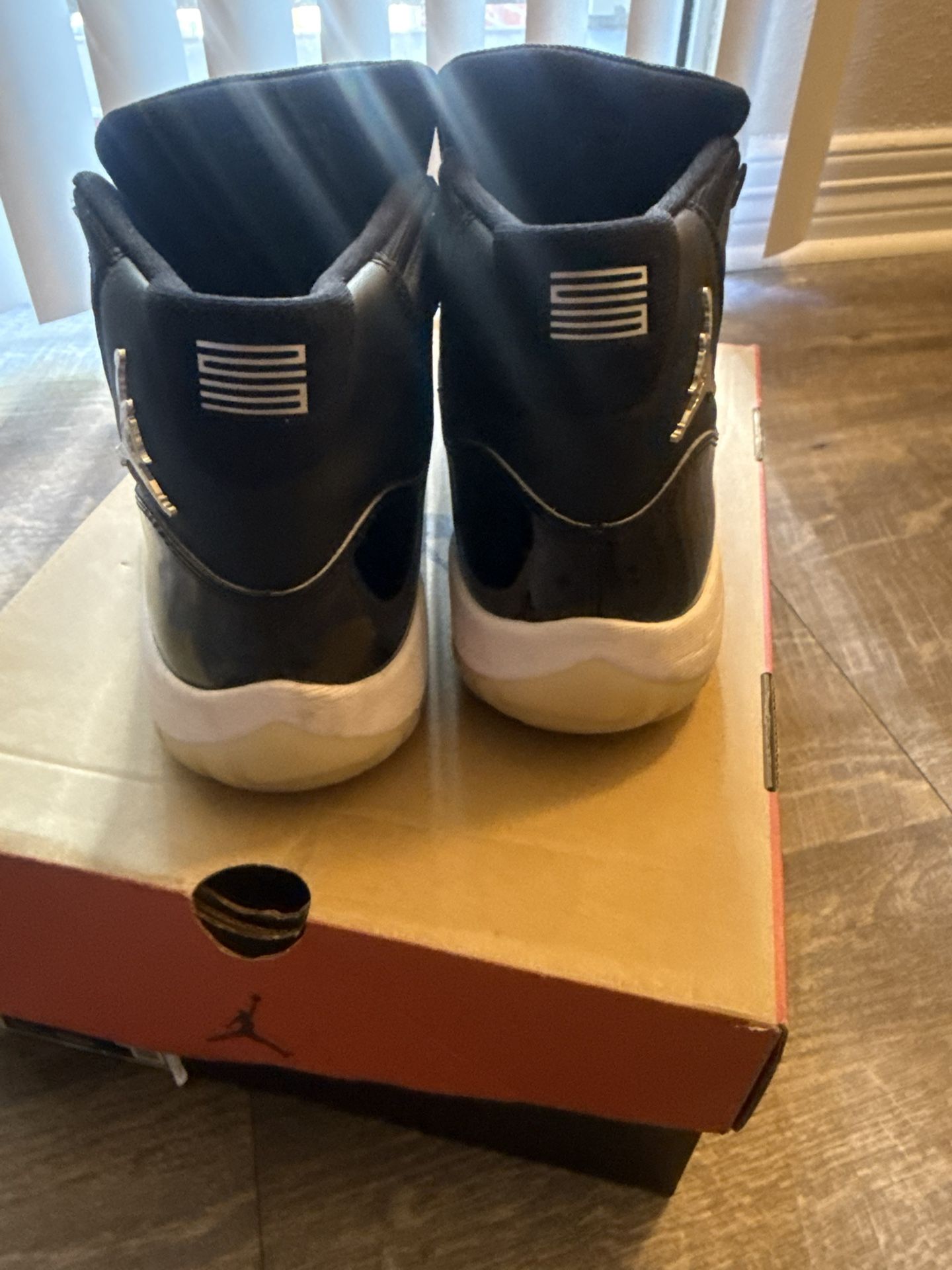 Air Jordan 11 Jubilee 