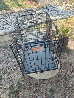 Icrate med animal see pictures for measurements 30 firm