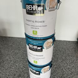 Paint- Excellent Paint