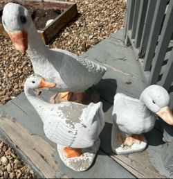 Cement Goose Family Collectibles