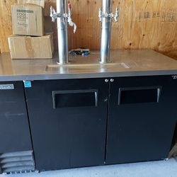 True Double Tap Kegerator Beer Dispenser Back 