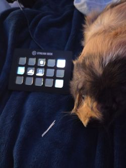 elgato stream deck