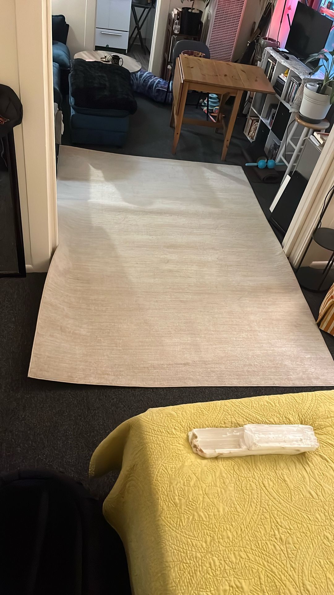 Indoor/Outdoor Area Rug 6’x9’ Like New