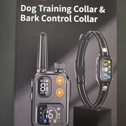 Training Collar 2 in 1