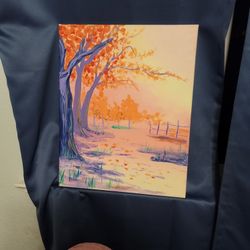 16x20 Painted Canvas